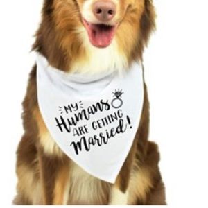 “My humans are getting married” bandanna